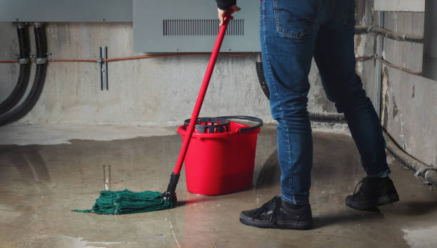 Best Water damage repair service  in Mino Tassajara, CA