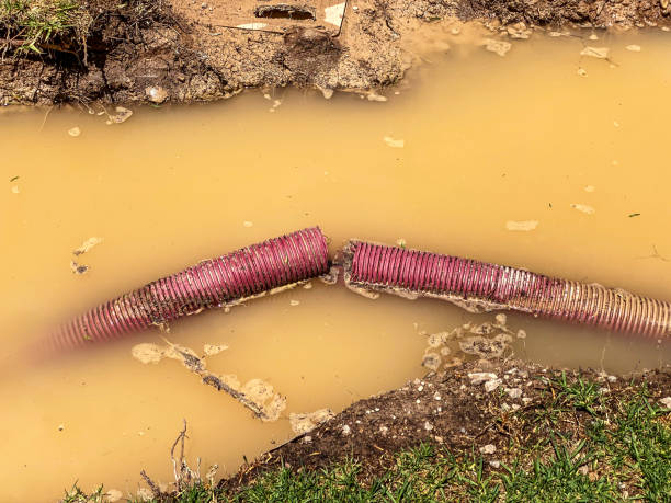  Mino Tassajara, CA Water damage restoration Pros